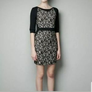 ZARA Laced Bodycon Black Dress L